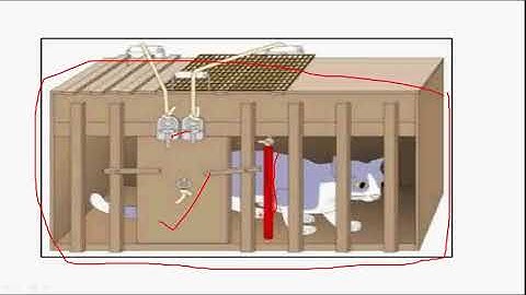 Trial &Error method of learning both Assamese and English explaination