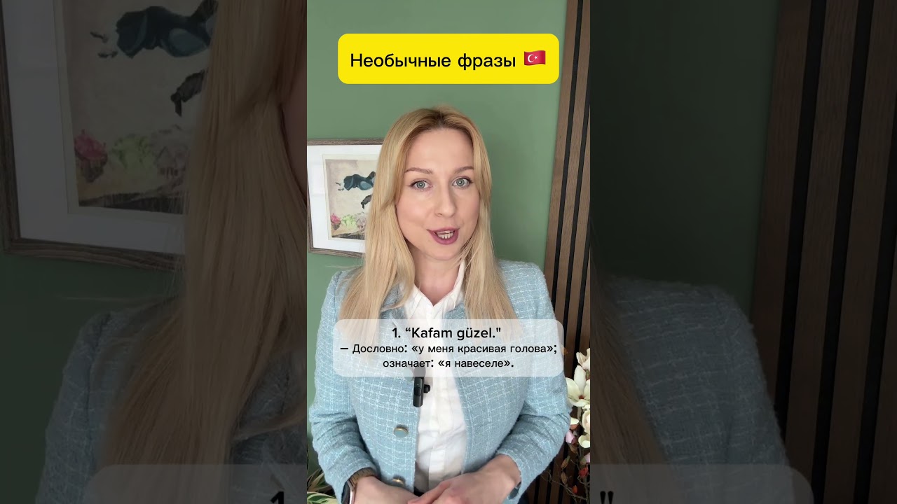 #грамматикатурецкого