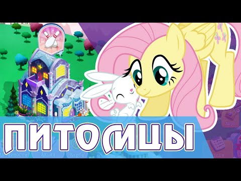 Видео: Питомцы в игре My Little Pony