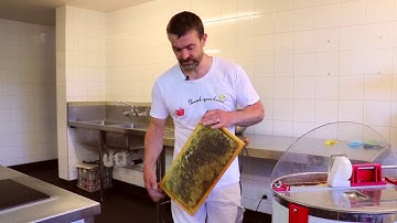 Honey extraction Part 1 with The Practical Beekeeper