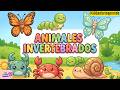 🎉 ¡Descubre el Mundo de los Animales Invertebrados! 🐛🦐🕷️  Aprende y Suscríbete al Canal