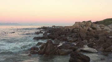 8827860 uhd 3840 2160 25fps