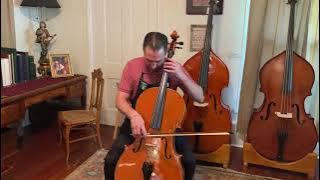 2005 Andrea Lissoni Cello