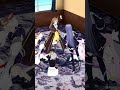 あおぎり撮影合間のオフショット#shorts