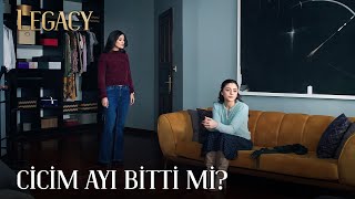 Cicim Ayı Çabuk mu Bitti? | Legacy 135. Bölüm (English & Spanish subs)