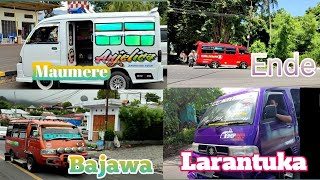 Angkot Viral Larantuka Ende Maumere Bajawa