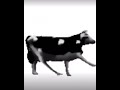 Dancing Polish Cow Meme