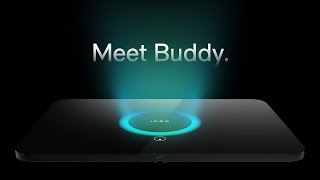 Meet IPEE Buddy