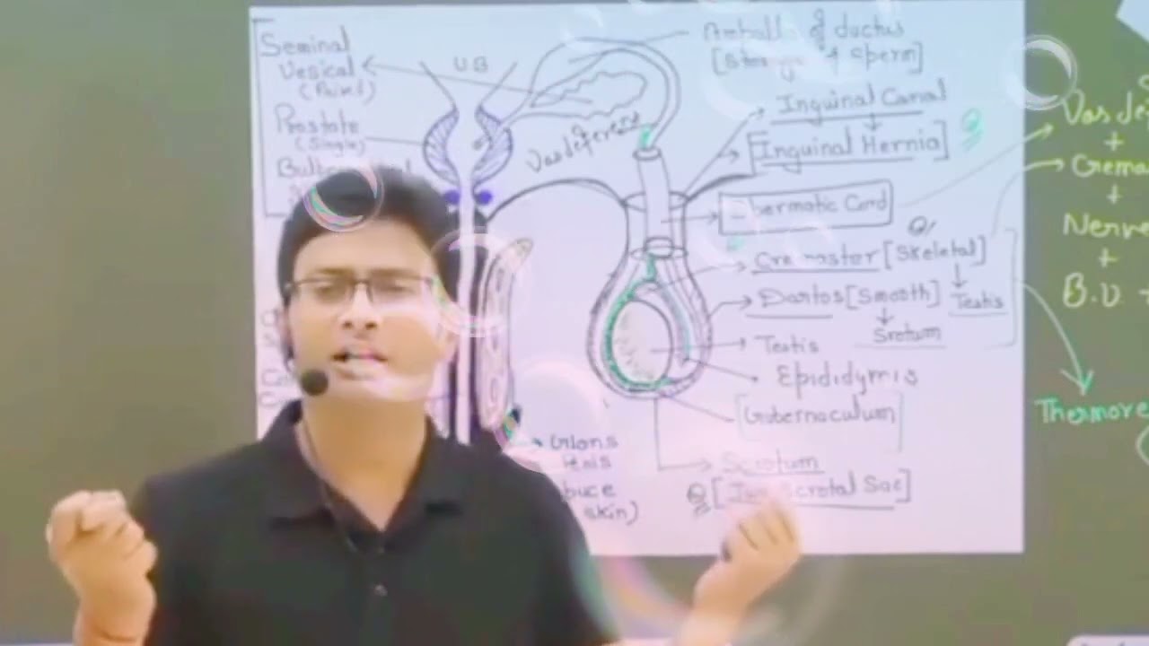 🏥take precautions while lifting heavy items ,otherwise it May be panetat🩺 🙂👍 this video 🥰