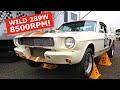 SCREAMING 289 ONBOARD! - Wild GT350 Shelby Mustang Racer