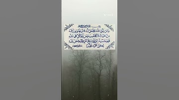 الاية 02، 03، من سورة الطلاق