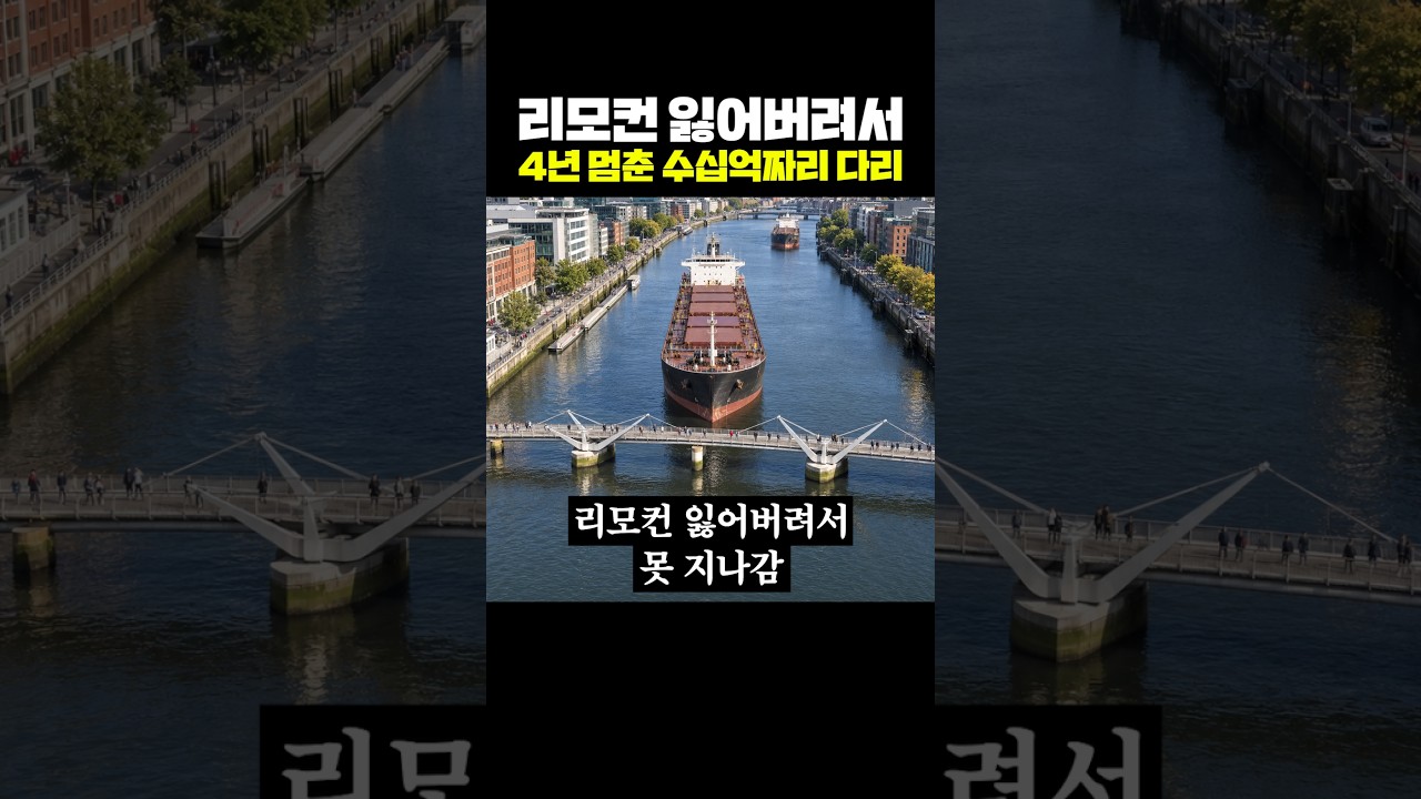 리모컨 잃어버려서 4년 멈춘 수십억짜리 다리