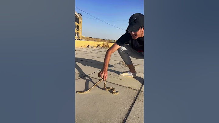 لكيت حية حقيقة بمدرستي 😭🐍