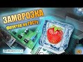 Акустическая заморозка. Экскурсия в лабораторию AEF. Тест заморозки черешни и винограда.