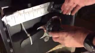 Sentry Safe Manipulation 2nd Wheel Part 2