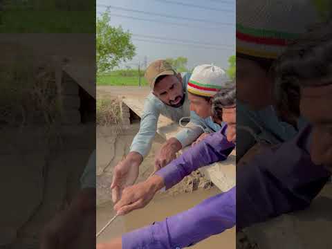 #funny #comedyfilms #agentdeadlock #funnycomedy #experiment #whowillbemylifepartnerta #comedymovi#$M