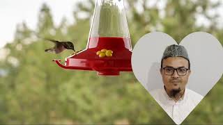Salate Fajr By Imam Hafiz Mohammad Faisal Faizi
