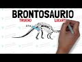 Etimologías Dinosaurios