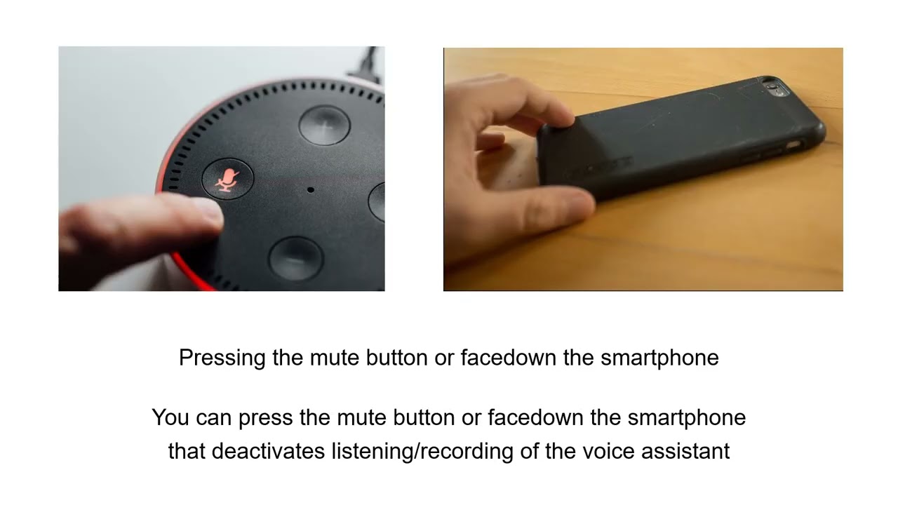 voice assistant research