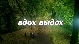 Как бросить курить ч.3. Дыхательные практики Как бросить курить ч.3. Дыхательные практики