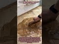 Amazing Wood Floor Restoration Trick Using Sawdust Filler #woodworking #carpentry #wood