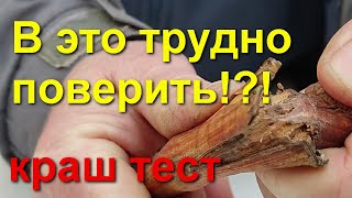 Проверка прививок на прочность срастания.