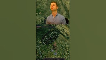 No way the no hit run ended like this #darksouls