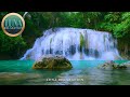 Musique relaxante calme  nature relaxation bruit de leau pour dormir spa yoga massage