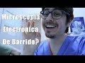 Microscopia electronica de Barrido en odontologia ¿Como hacer?