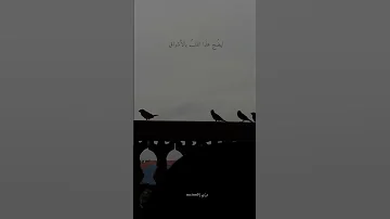 أو هكذا تمضي وترحل فجأة 