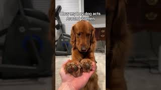 Hes A Total Ladies Man