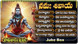 సోమవారం స్పెషల్ భక్తి పాటలు | లింగాష్టకం - బిల్వాష్టకం - విశ్వనాథాష్టకం | Poweful Shiva Bhakti Songs