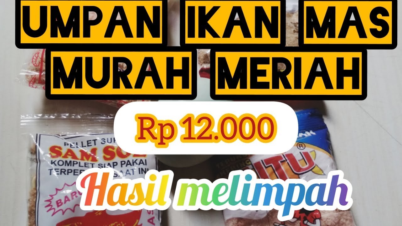 TERBUKTI !!! Umpan ikan mas murah meriah hasil melimpah | Eko djamboel
