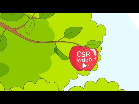 Explainer Videos