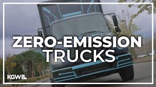Truck company Daimler eyes bold zero-emission goal