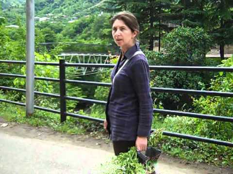 მინდვრის ყვავილებთან