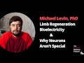 Michael levin plimb regeneration bioelectricity and why neurons arent special