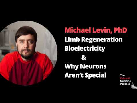 Michael Levin, PhD: Limb Regeneration, Bioelectricity, and Why Neurons Aren’t Special