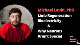 Michael Levin, PhD: Limb Regeneration, Bioelectricity, and Why Neurons Aren’t Special