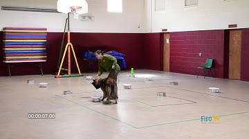 NW3 Containers New Castel VA Trace