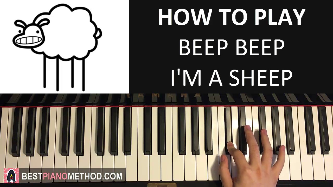 How To Play Beep Beep I M A Sheep Asdfmovie10 Song Chords Chordify - beep beep im a sheep roblox id