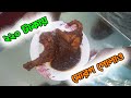 Zaitoon Birani House (Full Morog Palau in 220 tk) | Food Vlog | MS Lifestyle