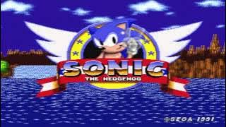 Sonic.exe (Sonic The Hedgehog 1 Theme)