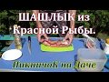 Шашлык из КРАСНОЙ РЫБЫ . Виноград на даче.