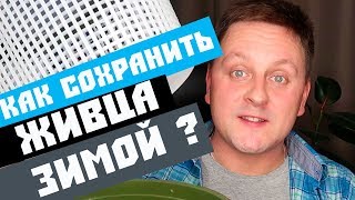 Как сохранить живца зимой? Простые правила хранения живца для рыбалки. Живец на щуку