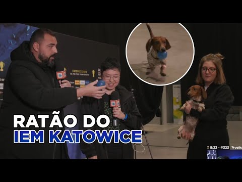 BRINQUEI COM O RATÃO DA IEM KATOWICE