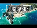 Los Cabos - Qué hacer en Cabo San Lucas? cuanto cuesta? qué visitar en 1 día/Marina/Playa Costa Azúl