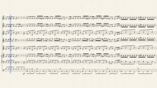 Angry Birds (Mallet Ensemble)