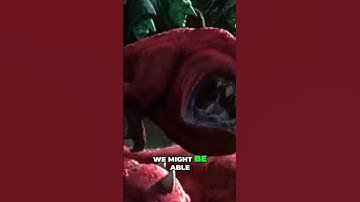 The Bling Fang Gitz: Orks with Style in Warhammer 40k #warhammer40k  #boardgam#orks40k#40klore#orks