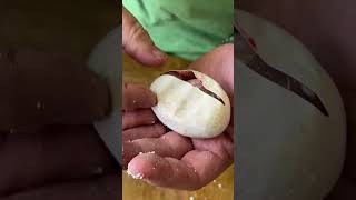 Famous This ball python hatched out purple/ #shorts Net Worth